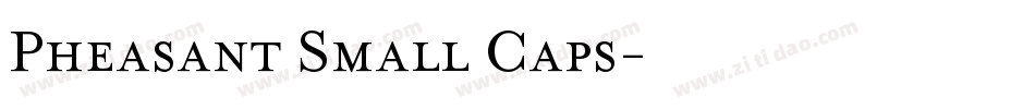 Pheasant Small Caps字体转换